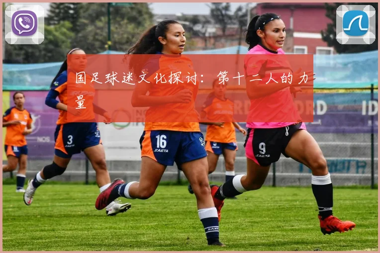 国足球迷文化探讨:第十二人的力量